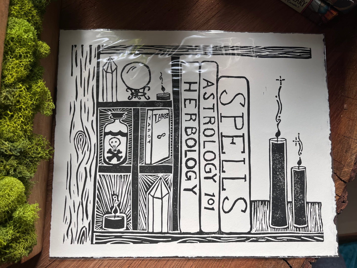 Witchy Bookcase Print