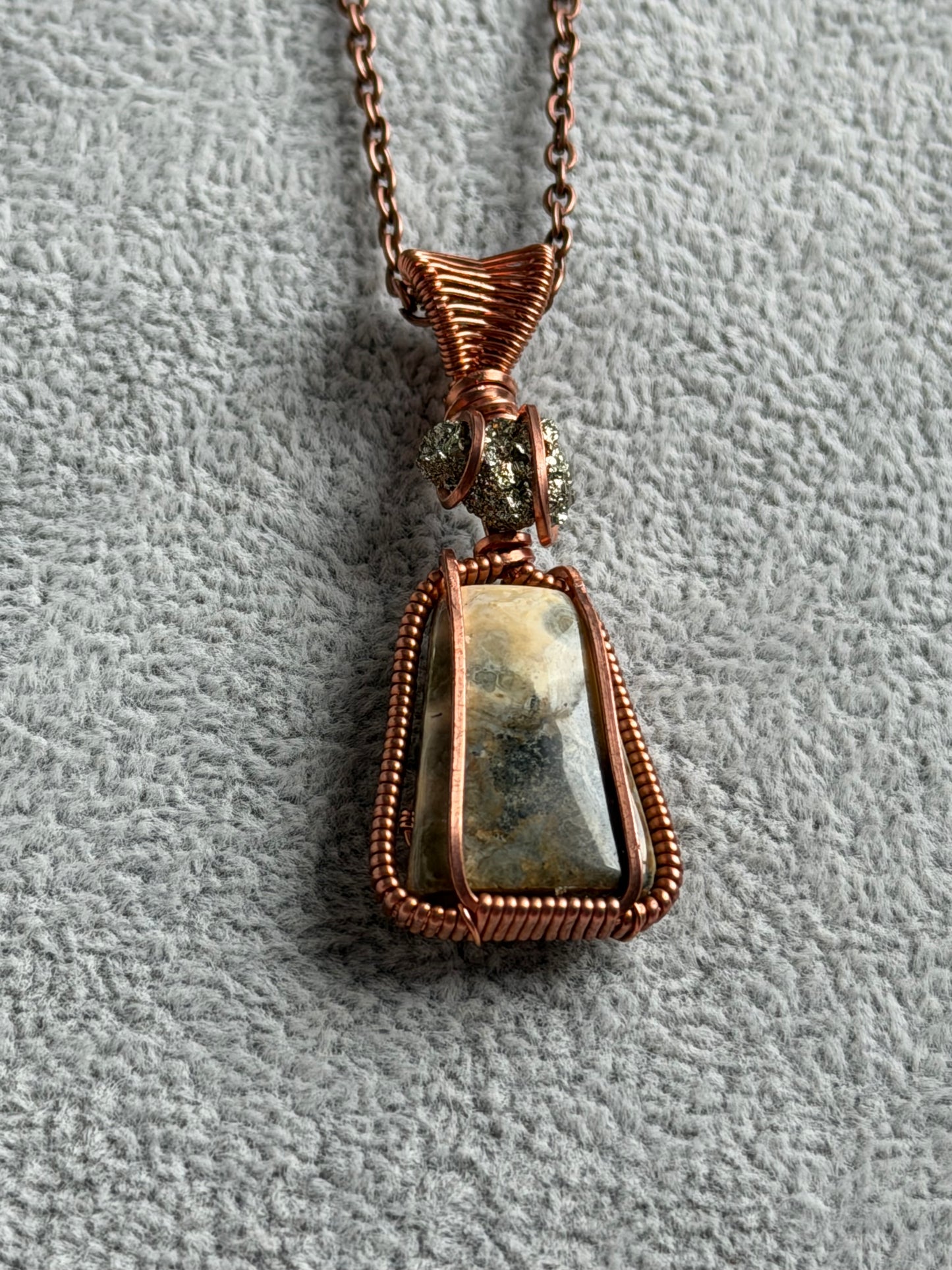 Pyrite & Fossilized Coral