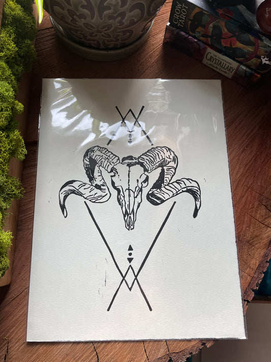Ram Skull Print
