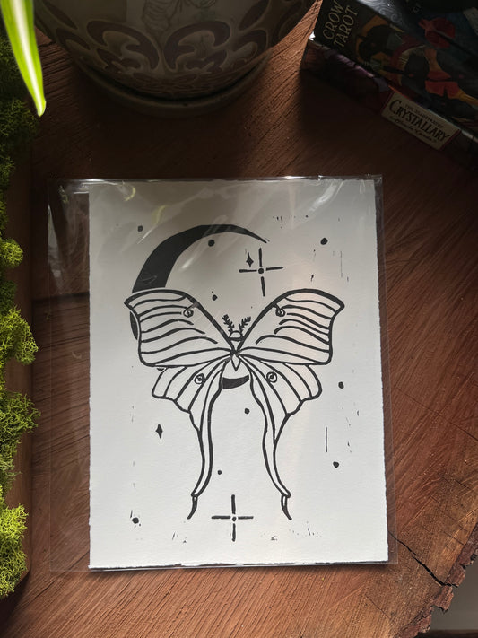 Luna Moth Print